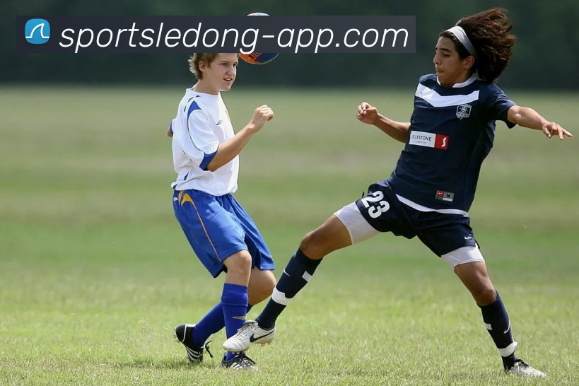 乐动体育发展历程