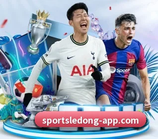 坚持做好基础的事(LDSPORTS)