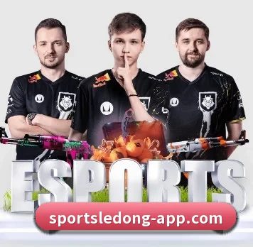 乐动体育 APP - LDSPORTS